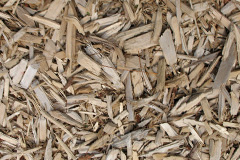 biomass boilers Craigierig